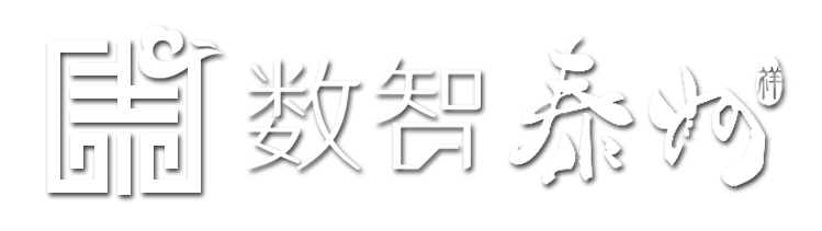 数智泰州