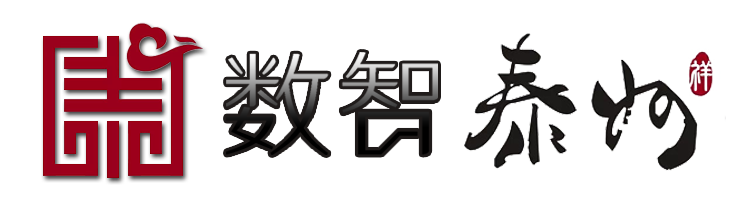 数智泰州
